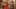 Game screenshot thumbnail 1