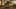 Game screenshot thumbnail 5