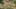 Game screenshot thumbnail 2