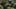 Game screenshot thumbnail 2