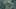Game screenshot thumbnail 1