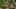Game screenshot thumbnail 4