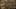 Game screenshot thumbnail 5