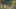 Game screenshot thumbnail 5