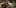 Game screenshot thumbnail 2