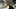 Game screenshot thumbnail 2