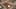 Game screenshot thumbnail 1