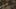 Game screenshot thumbnail 2