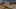 Game screenshot thumbnail 2