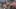 Game screenshot thumbnail 1