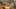Game screenshot thumbnail 1