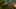 Game screenshot thumbnail 2