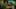 Game screenshot thumbnail 1