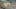 Game screenshot thumbnail 4