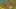 Game screenshot thumbnail 5
