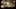 Game screenshot thumbnail 1