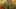 Game screenshot thumbnail 1