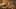 Game screenshot thumbnail 2