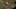 Game screenshot thumbnail 3