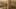 Game screenshot thumbnail 5