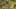 Game screenshot thumbnail 1