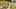 Game screenshot thumbnail 2
