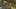 Game screenshot thumbnail 1