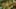 Game screenshot thumbnail 2