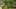 Game screenshot thumbnail 3