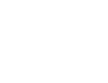 Steam