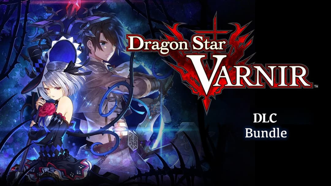 Dragon Star Varnir DLC Bundle cover image